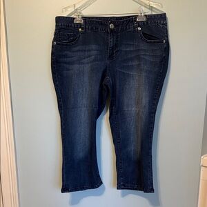 Rhythm in Blue Capri Jeans